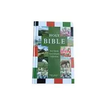 Bible RSV